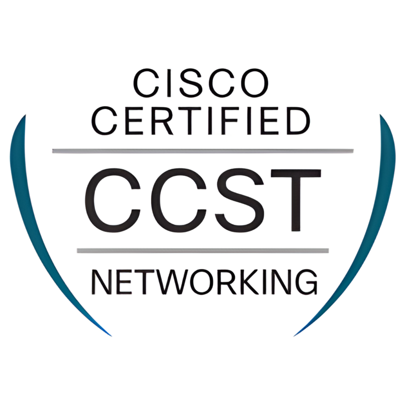 CCST Networking New Logo